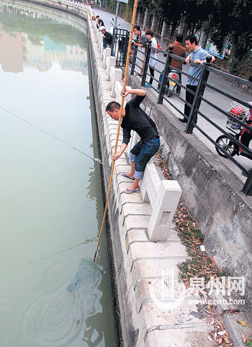 市民在内沟河里捞鳝鱼