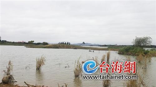 最美水鸟栖息地遭开发商蚕食