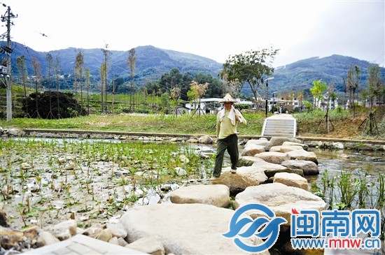 家门口有座湿地公园