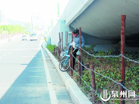 这位妇女踩踏绿化带后，强行把自行车从铁丝网中塞出