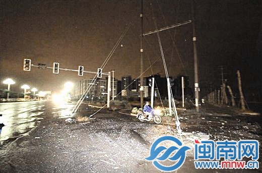 钢丝是这一惨剧的祸首