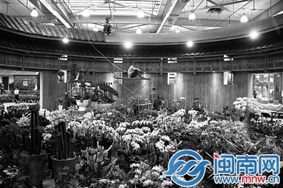 土楼里百花争艳