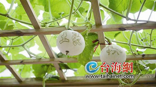 最新潮