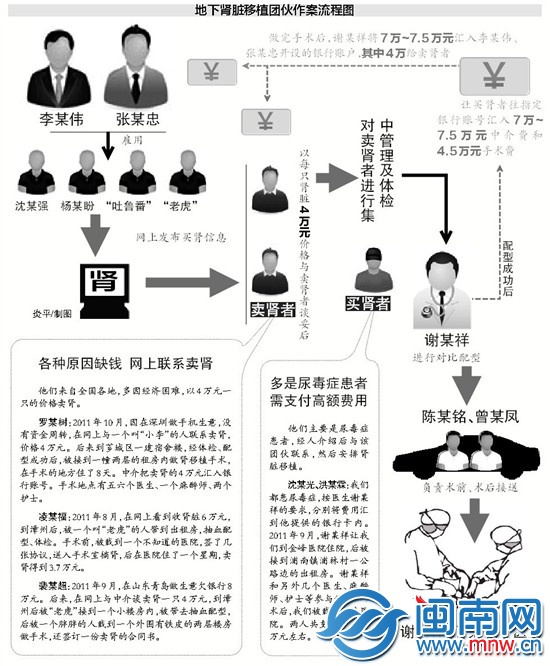 漳州地下组织 非法卖肾19起
