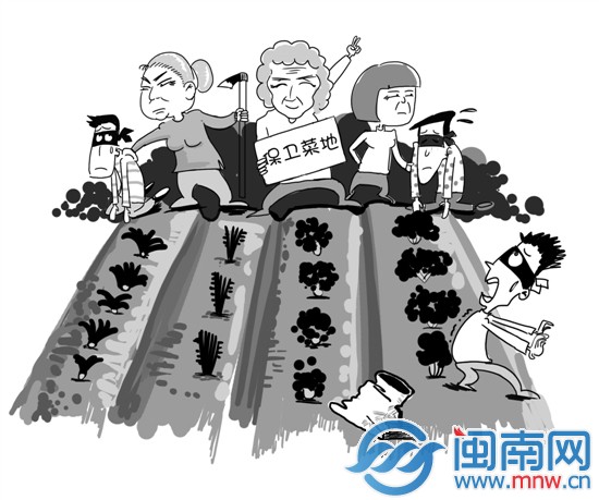 3阿婆连夜蹲守菜园