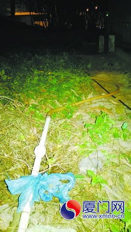 洗车摊的水管连接绿化带水管