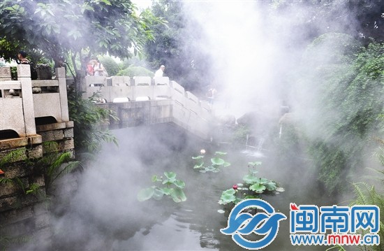 东湖公园瑶池荷花