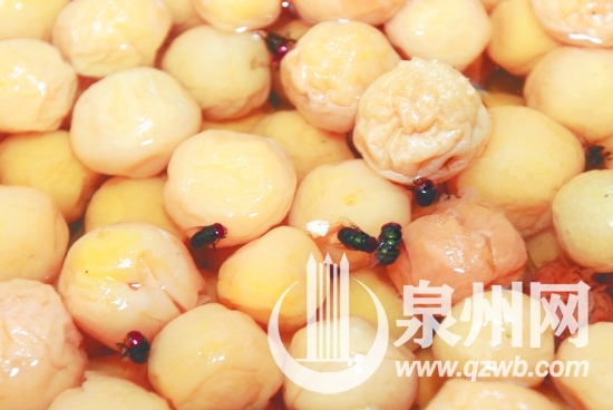 蜜饯上的死苍蝇令人作呕