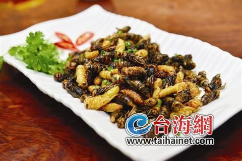 吃蜂