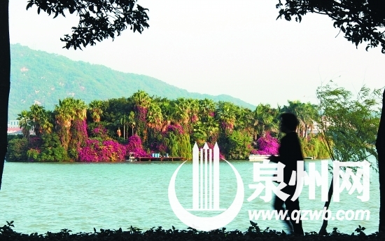 如今的桃花岛，自然风光优美怡人，建成“序园”后， 
