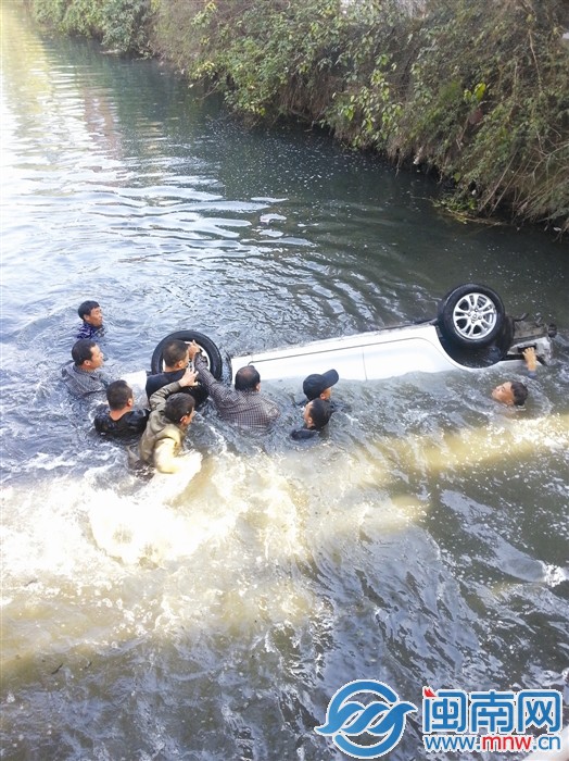 浙江一轿车坠河，12名农民抬车砸窗救下4条命