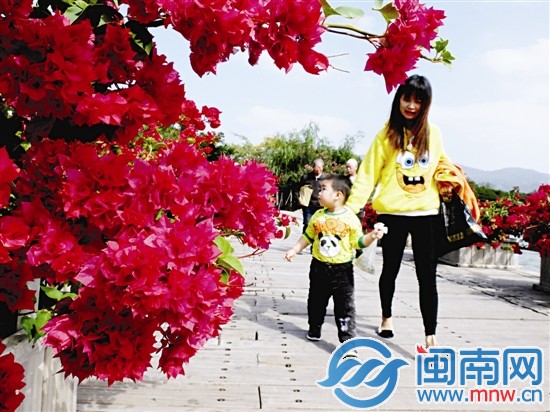 天气好，市民在公园内散步（昨日中午11时许，摄于泉 