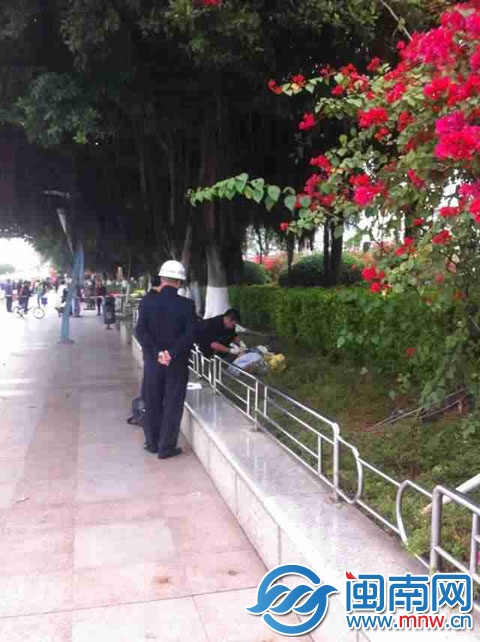 男子吊在榕树上，法医在现场勘查