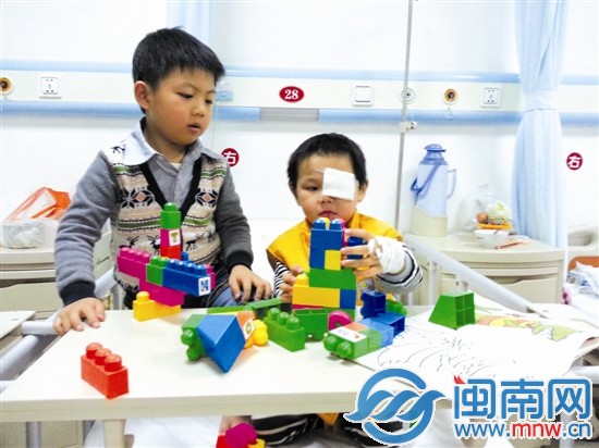 从厦门赶来的羽昊和小佳一起搭积木