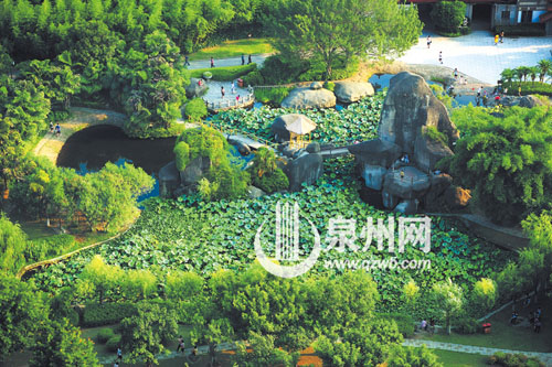 刺桐公园