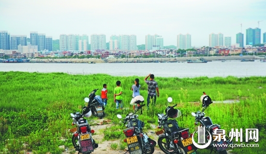 东海片区的滩涂和渔村已蜕变为崭新的城市繁华街区