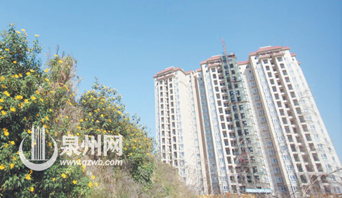 华星安置小区外，花儿开得艳。