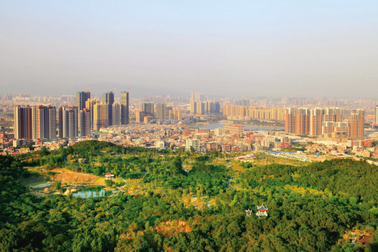 晋江市区