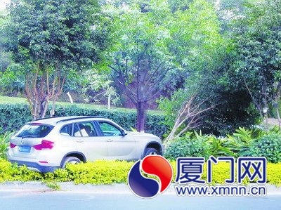 宝马车失控冲上中分绿化带