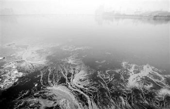 武汉市沙湖水面上漂浮着膜状雾霾沉降漂浮物