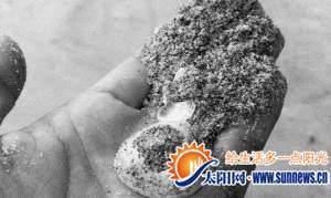 沙子中混有一些贝壳