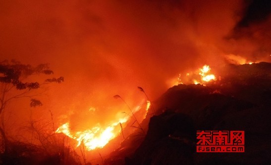 垃圾场火势猛烈