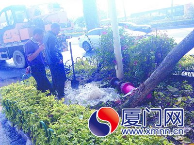 的哥为躲逆行车撞断消防栓