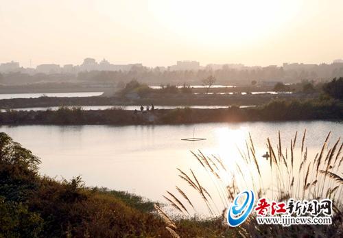 昔日风光秀美的虺湖，现在被围成了一个个小鱼塘