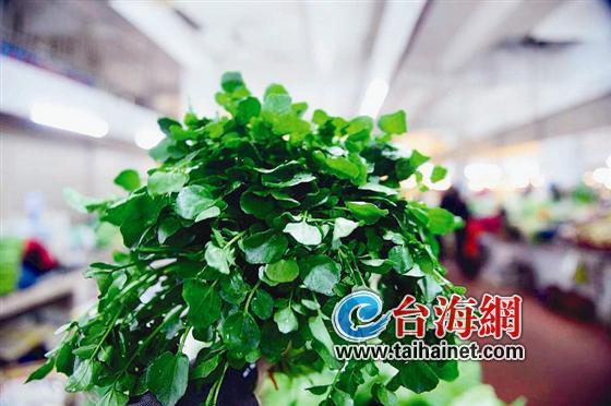 “青菜姐姐”说雾霾天要多吃青菜