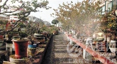 刘光嘉出示博物馆内部图片中