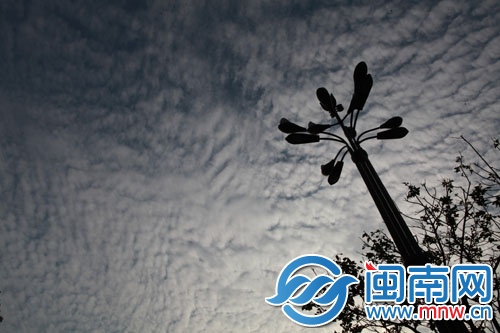 昨日上午零星雨后，太阳透出薄云