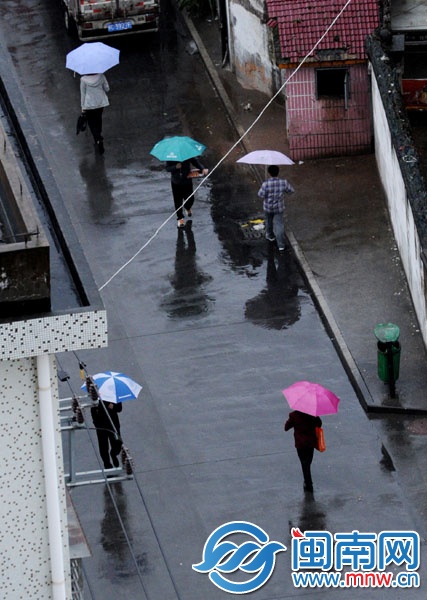 昨日泉州市区雨中沉洲路