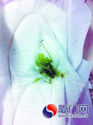 卫生巾里暗藏蚂蚱，产品真假难辨