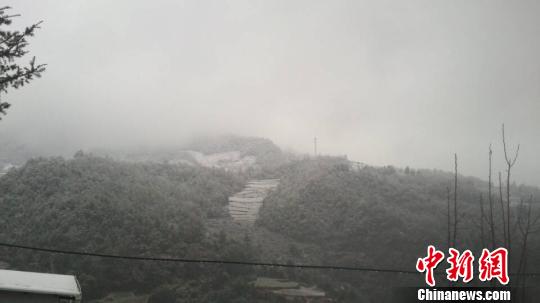 图为飘雪的昆明郊区山野。　杨华伟　摄