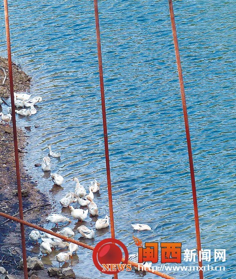 黄岗水库周边环境干净许多 整体搬迁方案已定