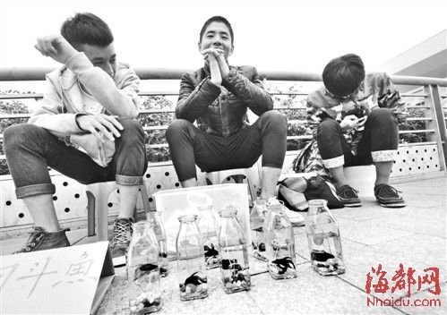 当不了学霸努力当土豪 福州高三生考前创业忙