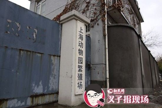 新民网记者赶到时