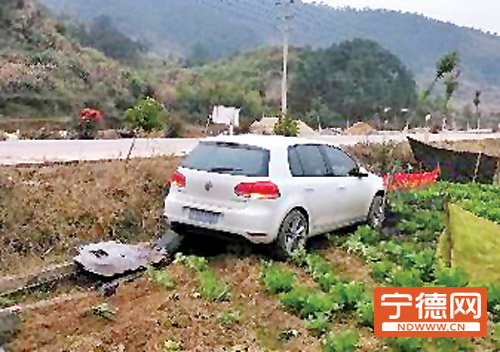 蕉城区石后乡：司机开车打哈欠 小车开进菜地