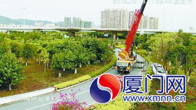 大型吊车吊起小轿车