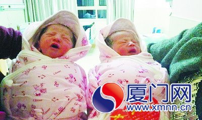 郑云的两个宝宝