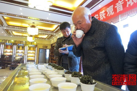 茶叶专家在现场品评茶叶叶底