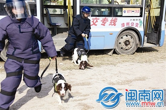 排爆犬亮相