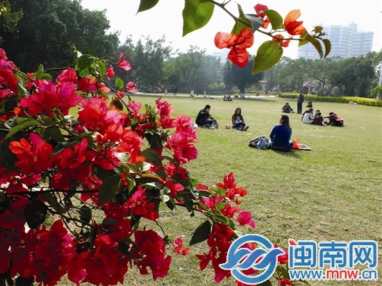 东湖公园许多市民晒太阳