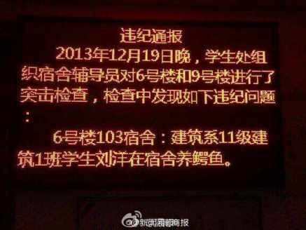 高校学生寝室养鳄鱼当宠物被通报批评