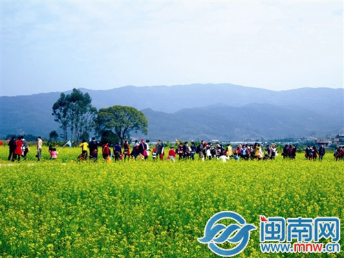 长泰山重油菜花