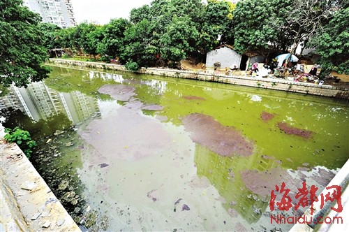 污水直排河道 莆田市体育中心段河水发臭熏人