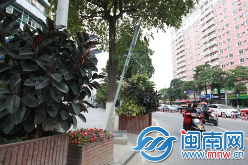 收费牌松动加剧，倾斜角度变大