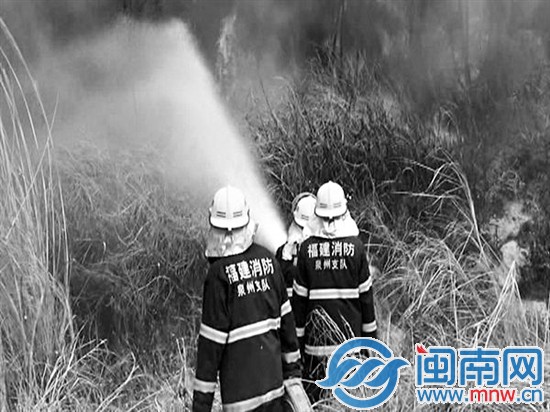 昨日上午，东埔的附近山林发生火灾