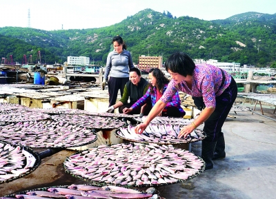 珠海万山村“村官”殷金好
