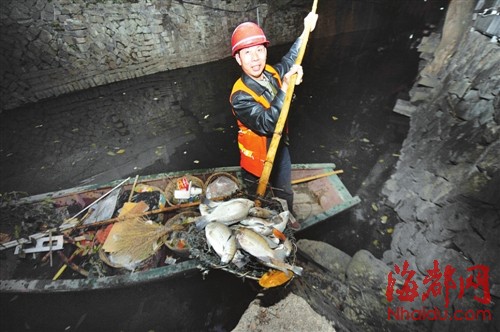 福州：大量粪水又排安泰河 河内景观鱼大批死亡福州 